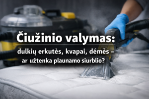 Čiužinio valymas: dulkių erkutės, kvapai, dėmės – ar užtenka plaunamo siurblio?