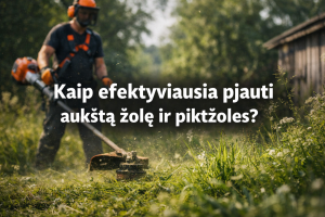 Kaip efektyviausia pjauti aukštą žolę ir piktžoles?