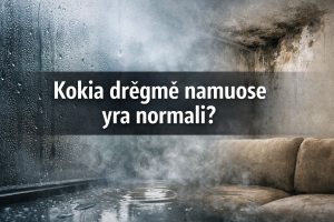 Kokia drėgmė namuose yra normali?