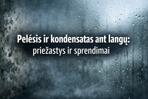 Pelėsis ir kondensatas ant langų: priežastys ir sprendimai