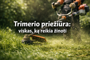 Trimerio priežiūra: viskas, ką reikia žinoti