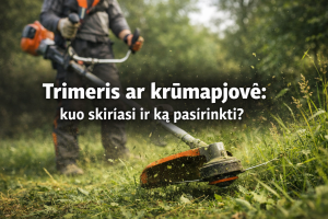 Trimeris ar krūmapjovė: kuo skiriasi ir ką pasirinkti?