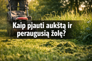 Kaip pjauti aukštą ir peraugusią žolę?