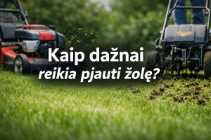 Kaip dažnai reikia pjauti žolę?