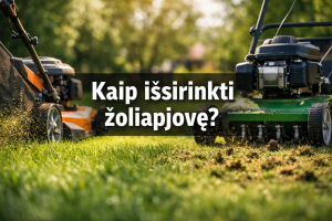 Kaip išsirinkti žoliapjovę?