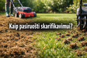 Kaip pasiruošti skarifikavimui?