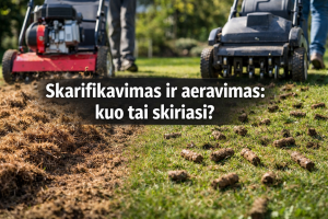Skarifikavimas ir aeravimas: kuo tai skiriasi?