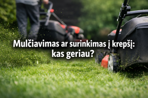 Mulčiavimas ar surinkimas į krepšį: kas geriau?