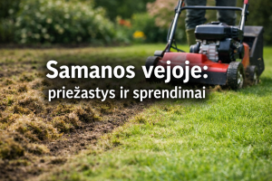 Samanos vejoje: priežastys ir sprendimai